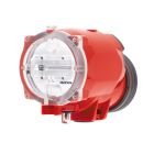 Rental INON S-2000 strobe package