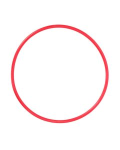 Olympus o-ring for PT-031 [POL-031]