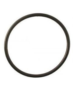 Sealife o-ring for Sealife DC1200 [SL1717]