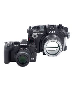Olympus OM-D E-M1 III + 60mm macro + AOI housing set