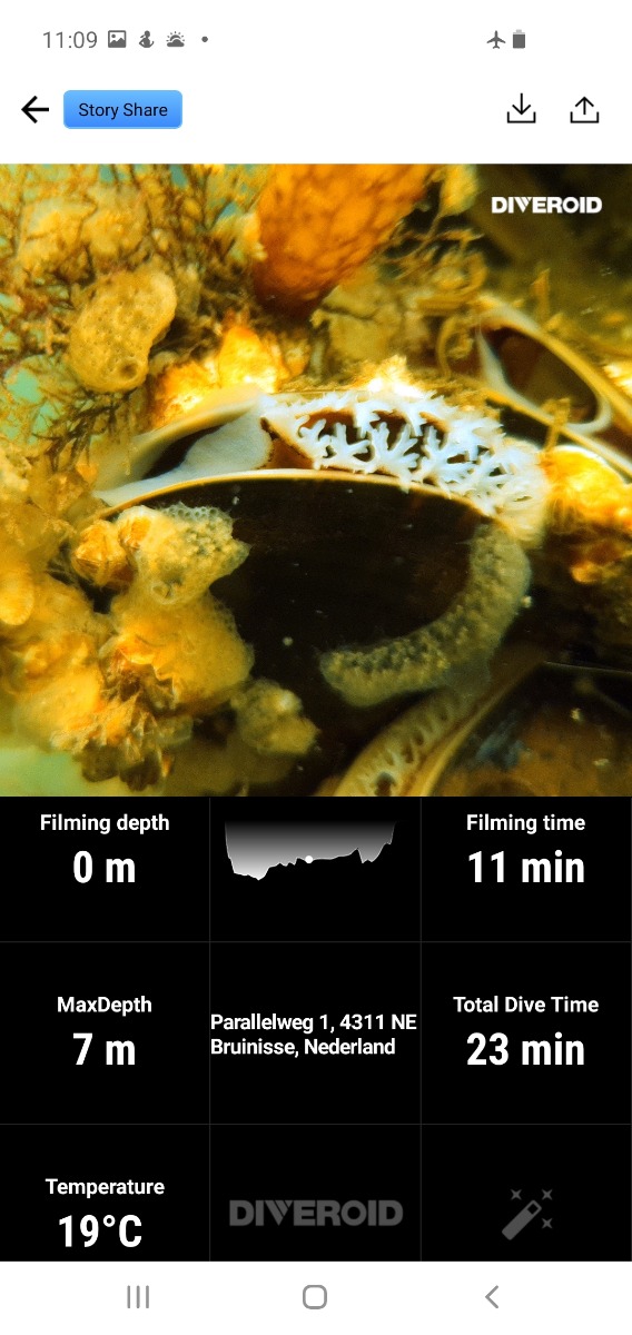 Photo and profile in app on smartphone